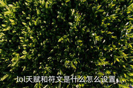 lol天赋和符文是什么怎么设置