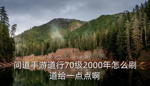 问道手游道行70级2000年怎么刷道给一点点啊