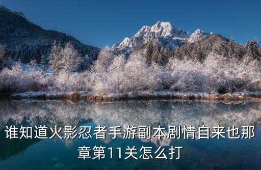 谁知道火影忍者手游副本剧情自来也那章第11关怎么打