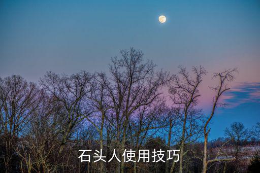 石头人使用技巧