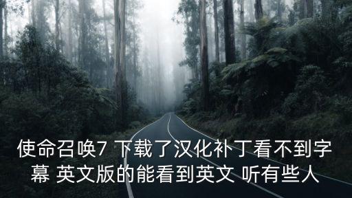 使命召唤7 下载了汉化补丁看不到字幕 英文版的能看到英文 听有些人