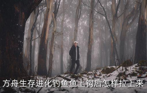 方舟手游版钓鱼模式怎么玩，方舟生存进化钓鱼鱼上钩后怎样拉上来