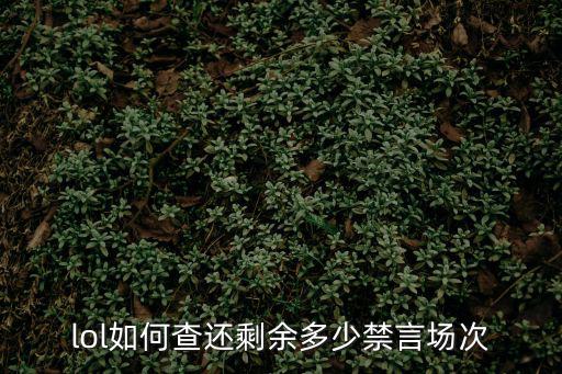 lol如何查还剩余多少禁言场次
