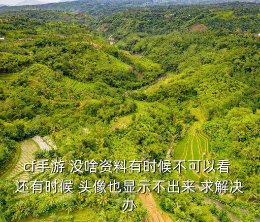 cf手游 没啥资料有时候不可以看 还有时候 头像也显示不出来 求解决办