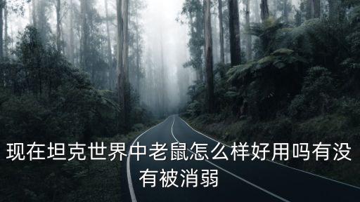现在坦克世界中老鼠怎么样好用吗有没有被消弱
