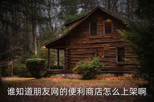 谁知道朋友网的便利商店怎么上架啊