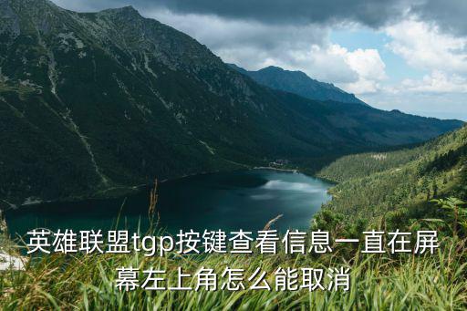 英雄联盟tgp按键查看信息一直在屏幕左上角怎么能取消