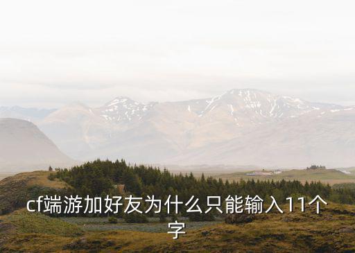 cf端游加好友为什么只能输入11个字