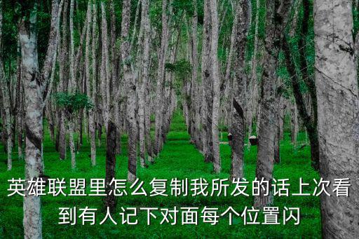 联盟手游怎么复制信息，英雄联盟里怎么复制我所发的话上次看到有人记下对面每个位置闪