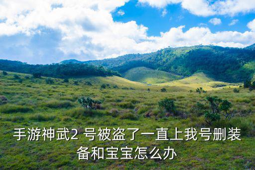 手游神武2 号被盗了一直上我号删装备和宝宝怎么办