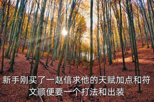 新手刚买了一赵信求他的天赋加点和符文顺便要一个打法和出装