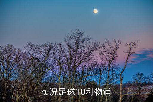 实况足球10利物浦