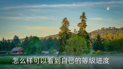 怎么样可以看到自己的等级进度