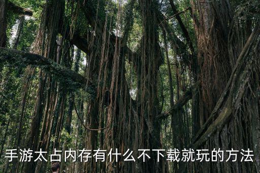 手游太占内存有什么不下载就玩的方法