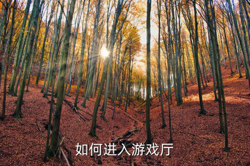如何进入游戏厅
