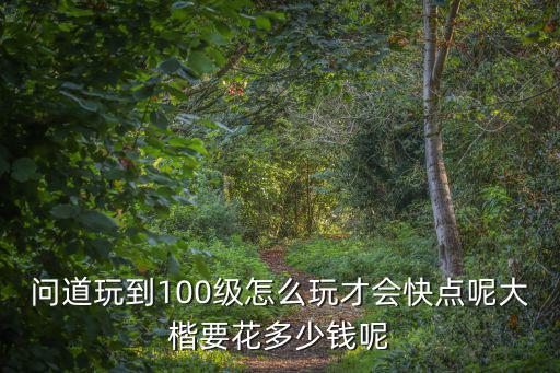 问道玩到100级怎么玩才会快点呢大楷要花多少钱呢