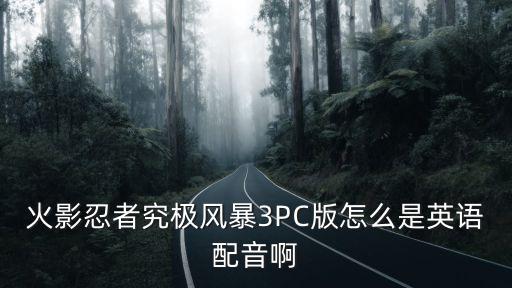 火影忍者究极风暴3PC版怎么是英语配音啊