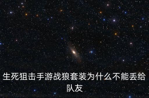 生死狙击手游战狼套装为什么不能丢给队友