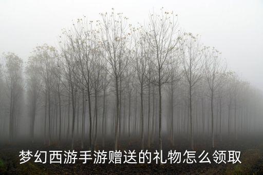 梦幻西游手游赠送的礼物怎么领取