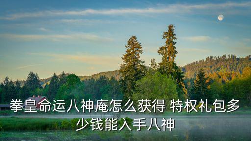 拳皇命运手游礼包券怎么获得，拳皇命运礼包码领取攻略 礼包怎么领取