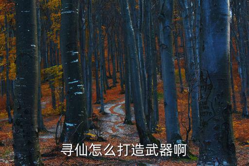 寻仙怎么打造武器啊