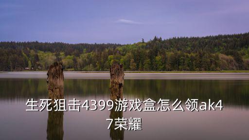 生死狙击4399游戏盒怎么领ak47荣耀