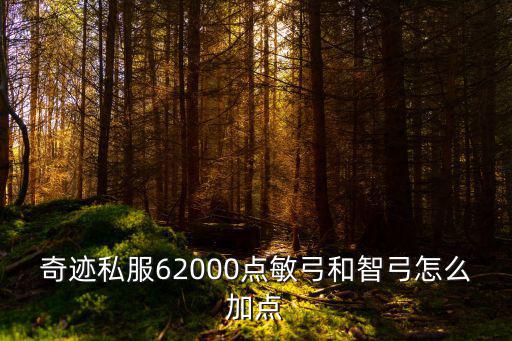奇迹私服62000点敏弓和智弓怎么加点