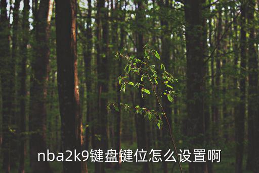 nba2k9键盘键位怎么设置啊