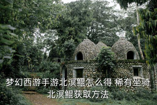 梦幻西游手游北溟鲲怎么得 稀有坐骑北溟鲲获取方法