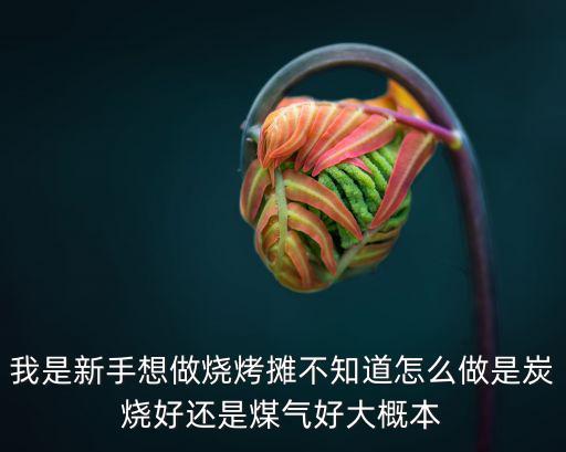 我是新手想做烧烤摊不知道怎么做是炭烧好还是煤气好大概本