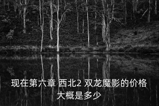 现在第六章 西北2 双龙魔影的价格大概是多少