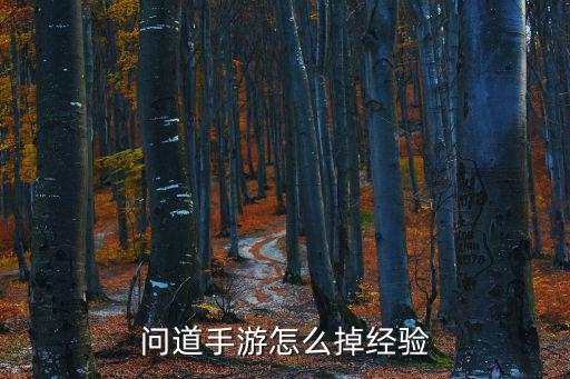 问道手游怎么掉经验
