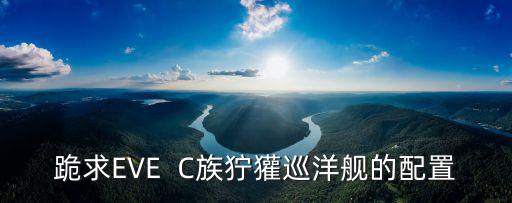 跪求EVE C族狞獾巡洋舰的配置