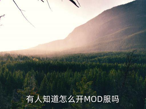 有人知道怎么开MOD服吗