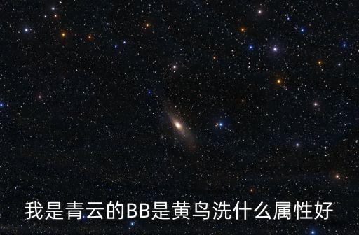 我是青云的BB是黄鸟洗什么属性好