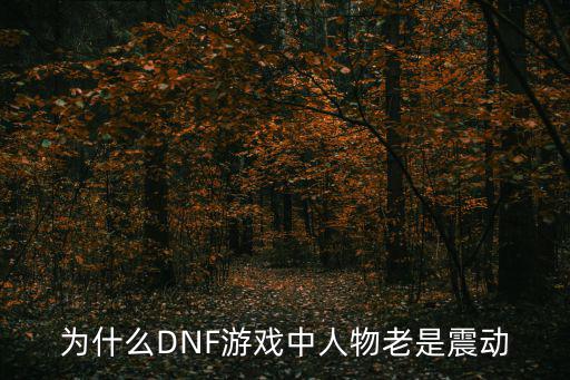 为什么DNF游戏中人物老是震动