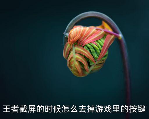 王者截屏的时候怎么去掉游戏里的按键