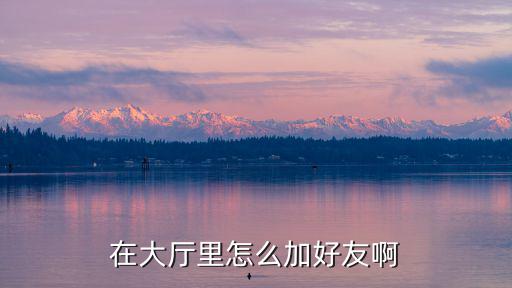 在大厅里怎么加好友啊