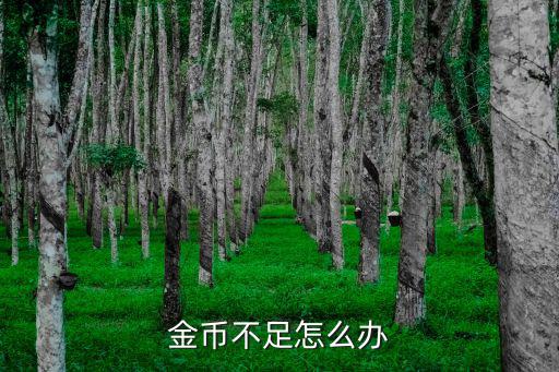 金币不足怎么办