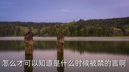 怎么才可以知道是什么时候被禁的言啊
