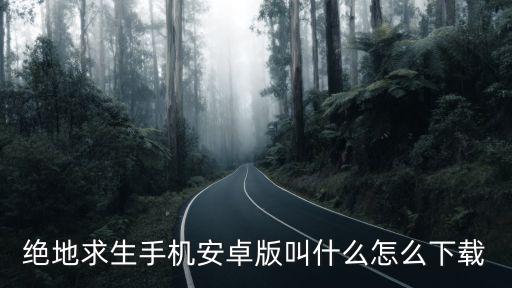 绝地求生手机安卓版叫什么怎么下载