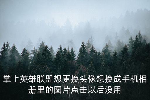 掌上英雄联盟想更换头像想换成手机相册里的图片点击以后没用