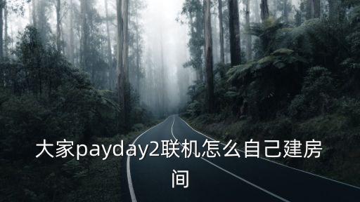 大家payday2联机怎么自己建房间