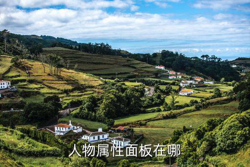 人物属性面板在哪