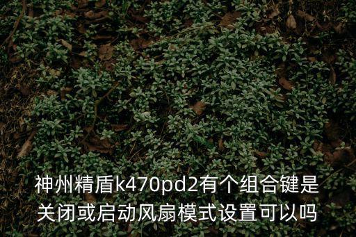 神州精盾k470pd2有个组合键是关闭或启动风扇模式设置可以吗