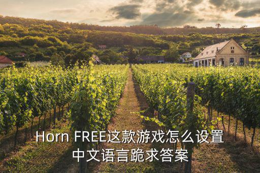 Horn FREE这款游戏怎么设置中文语言跪求答案