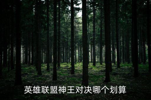 英雄联盟神王对决哪个划算