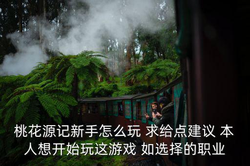 桃花源记新手怎么玩 求给点建议 本人想开始玩这游戏 如选择的职业