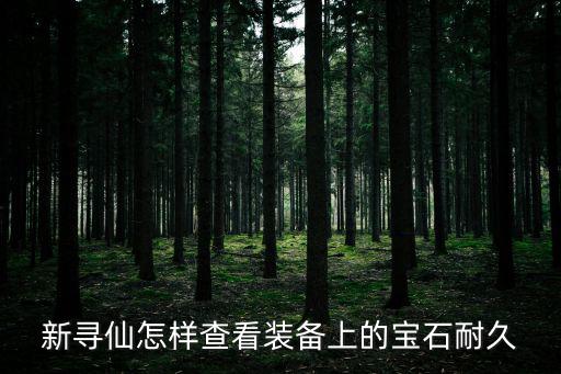 寻仙手游怎么看宝石，新寻仙怎样查看装备上的宝石耐久