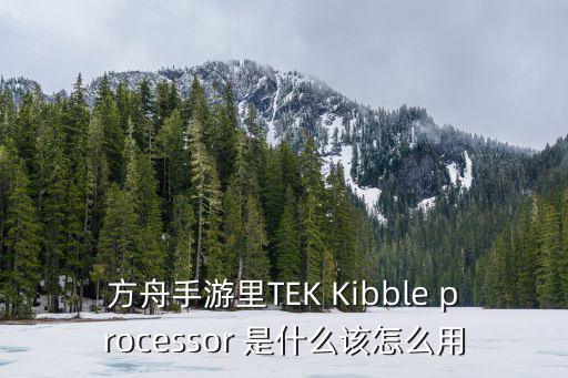 方舟手游里TEK Kibble processor 是什么该怎么用